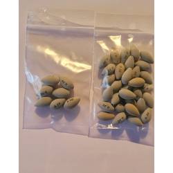 LOT 38 CORPS MOUSSE EVA